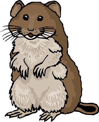 OneSneakyMouse